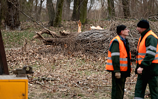 Prawie 200 interwencji strażaków po wczorajszych wichurach. Wiatr utrudniał gaszenie pożarów